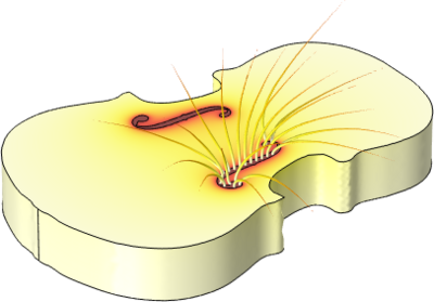 Acoustic-Structure Interaction and Air Flow in Violins