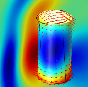 Acoustic–Structure Interaction
