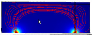 Polymer Nanowire based Impedance Biosensor
