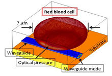 Optical Trapping on Waveguides