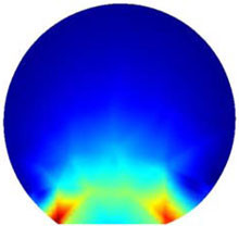 Modeling Interface Response in Cellular Adhesion