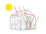 Greenhouse Heating