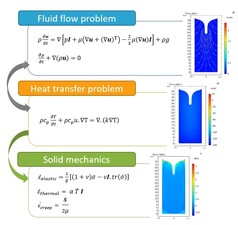 Modeling large surface deformation in cryopreservation by vitrification