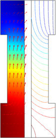 Species Transport in the Gas Diffusion Layers of a PEM