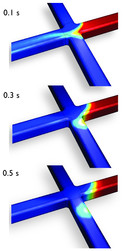 Transport in an Electrokinetic Valve