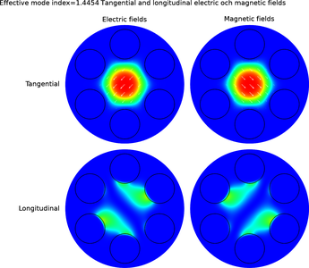 Leaky Modes in a Microstructured Optical Fiber