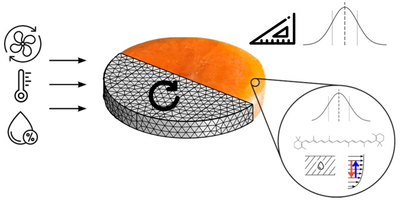 Monte Carlo Simulation to Model Natural Variability in Food Drying