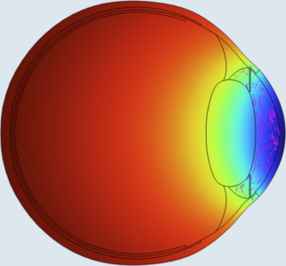Numerical Thermal Analysis of Human Eye under LED Ray Illumination