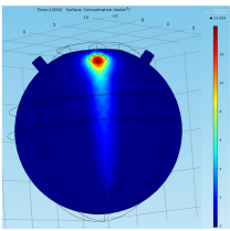 Virtual Pharmacokinetic Model of the Human Eye