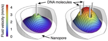 DNA Interactions in Crowded Nanopores