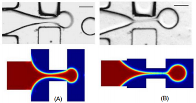 Control the Poly-Dispersed Droplet Breakup Mode in a Droplet-based ...