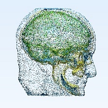 Realistic Human Head Model for Simulating the Effect of Electrical ...