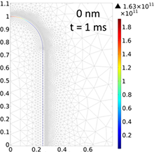 A Numerical Model of Electroporation in Bacteria