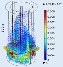 Fluid Flow Modeling in a Bioreactor Applied to Wine Production