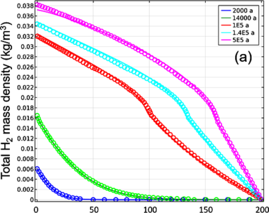 Two-Phase Flow Models of Gas Generation and Transport in Geological ...