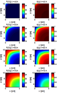 Hygrothermal Modeling: A Numerical and Experimental Study on Drying