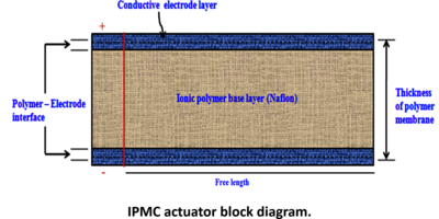 Design and Simulation of Electroactive Polymer-Based Artificial Muscles for ...