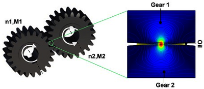 An Elastohydrodynamic Lubrication Model Considering Surface Roughness and ...