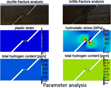 Simulation of Hydrogen Transport and Hydrogen-Induced Damage of High ...