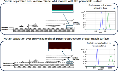 CFD Simulations to Improve Protein Separation Introducing a Permeable ...
