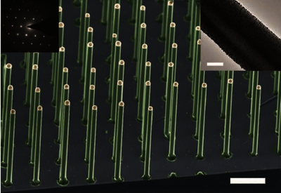 A Silicon Nanowire as a Spectrally Tunable Light-Driven Nanomotor