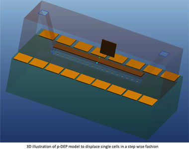 Numerical Optimization of Microelectrode Systems for Single Cell ...