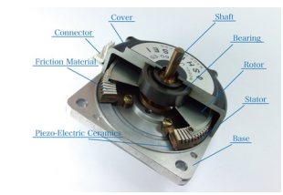 Multiphysics Simulation of an Ultrasonic Piezoelectric Motor