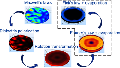 Microwave Assisted Vacuum Drying Processing: Magnetron vs Solid State. Case ...