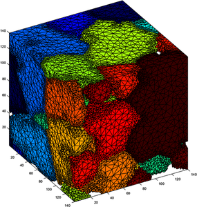 Automated Meshing of Evolving Microstructures from High-Throughput Grain ...