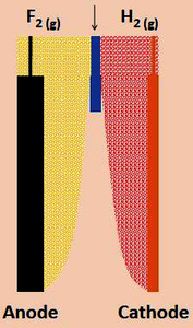 Multiphysics Modeling of a Fluorine Production Cell