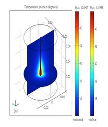 Biological Effects and Therapeutic Applications of Electromagnetic ...