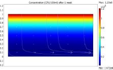 Modeling Bacterial Transport and Removal in a Constructed Wetland System