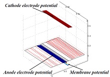 COMSOL application in modeling PEMFC transients
